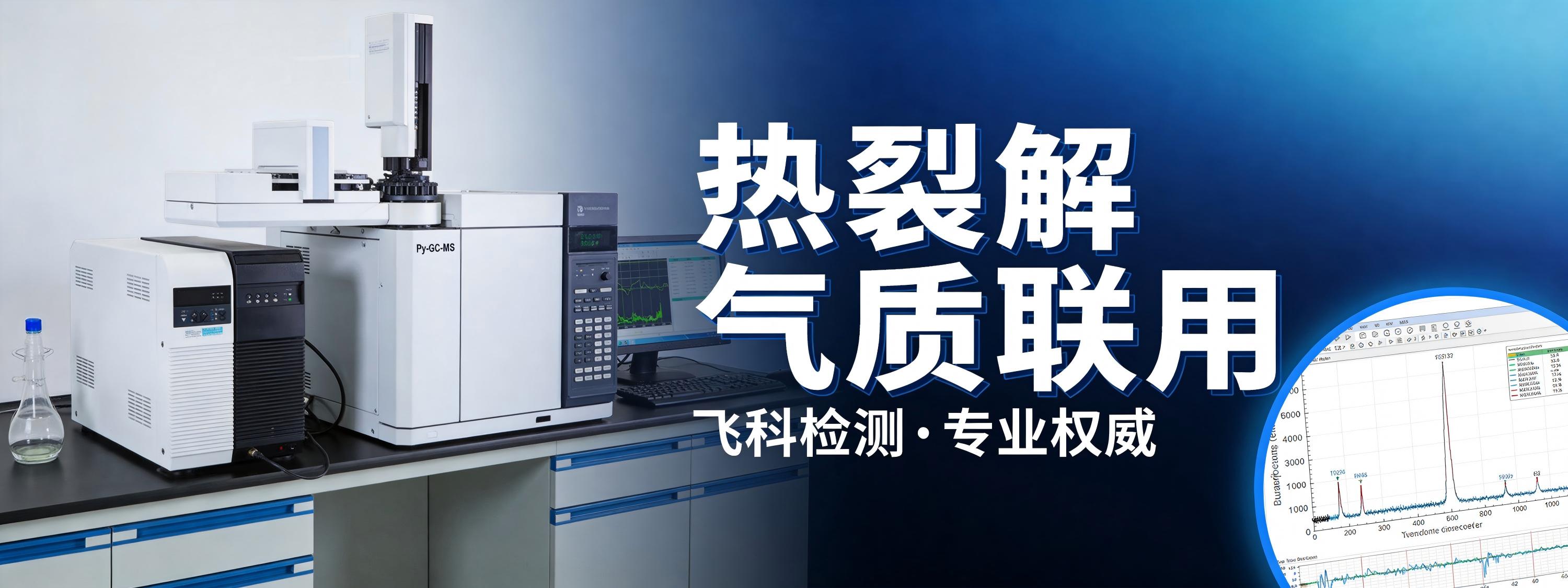 热裂解气质联用