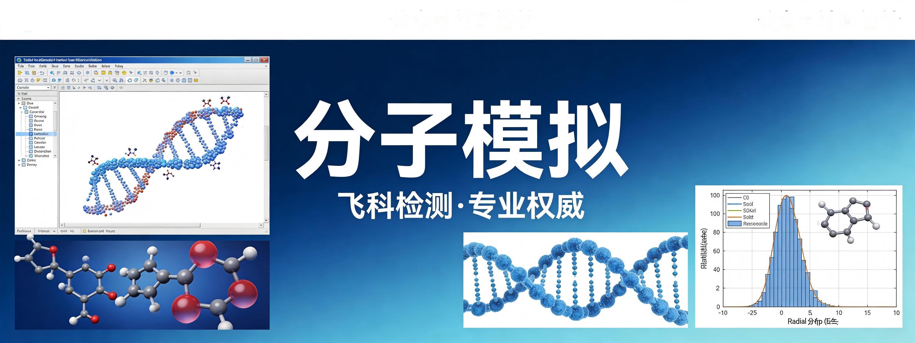 分子模拟
